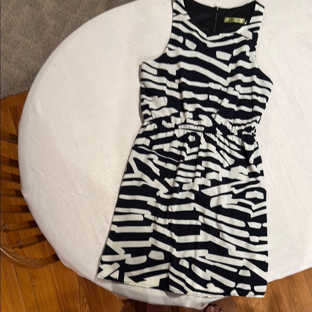 Black and White Zebra Print Dress